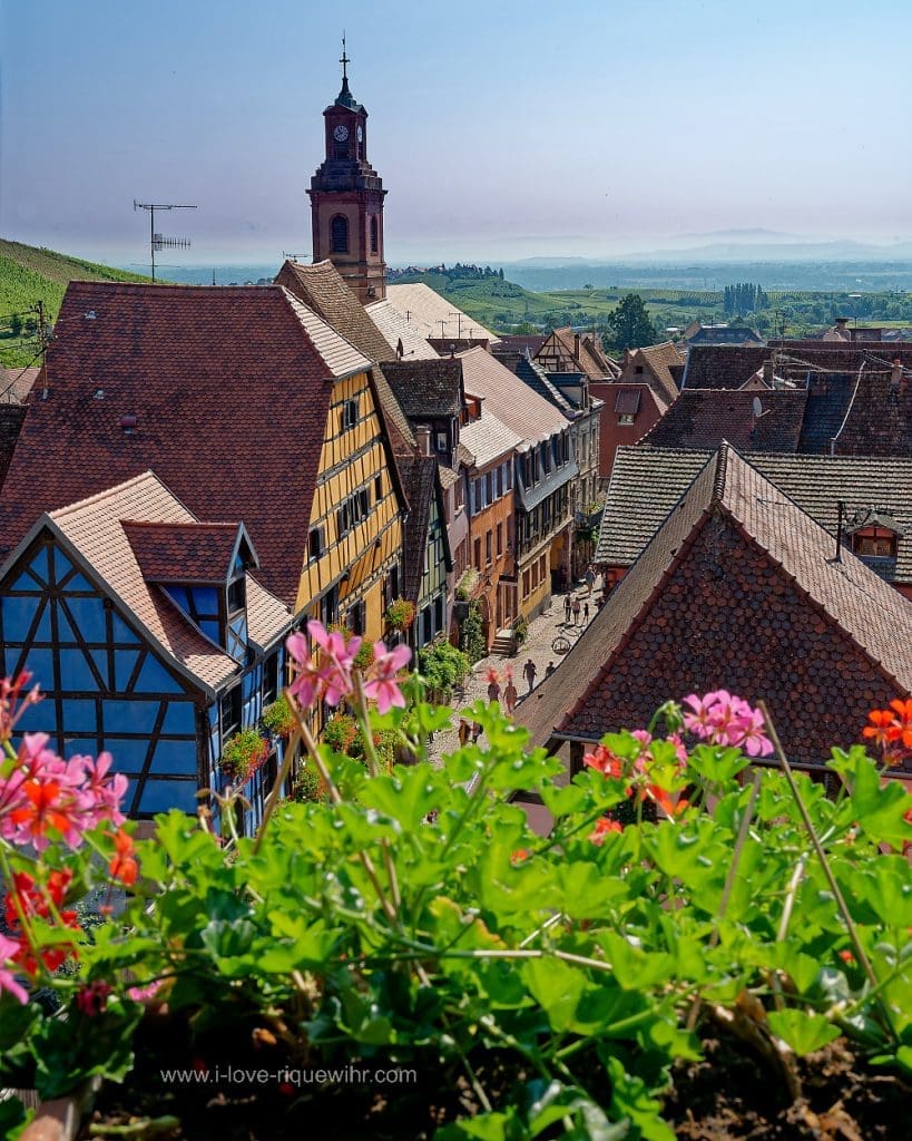 Le village de Riquewihr vu des fenêtres du musée du Dolder.