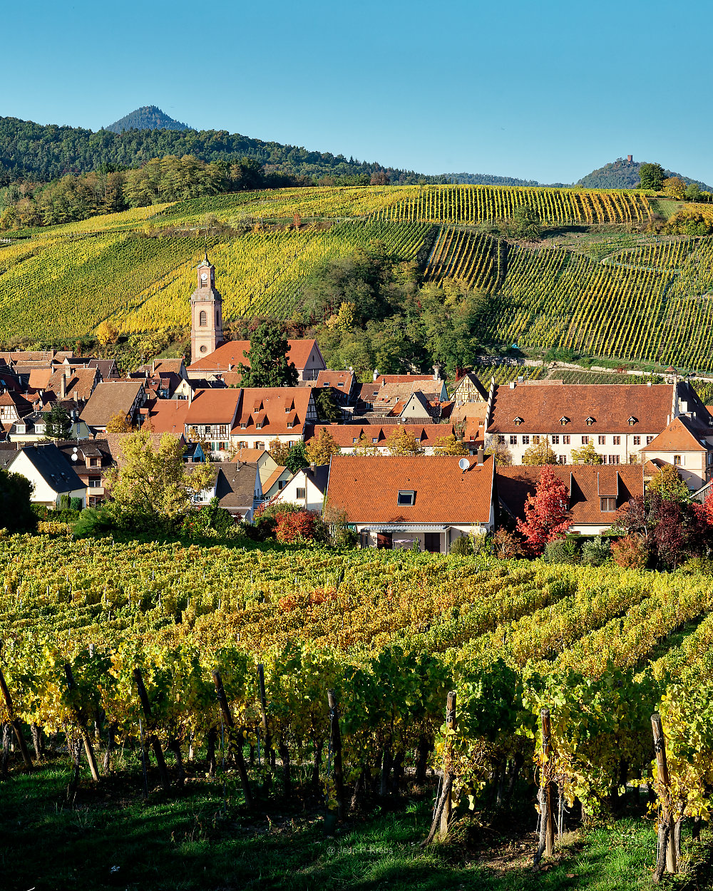 Les vins de Riquewihr, 4 saisons sur la route des vins d'Alsace.
