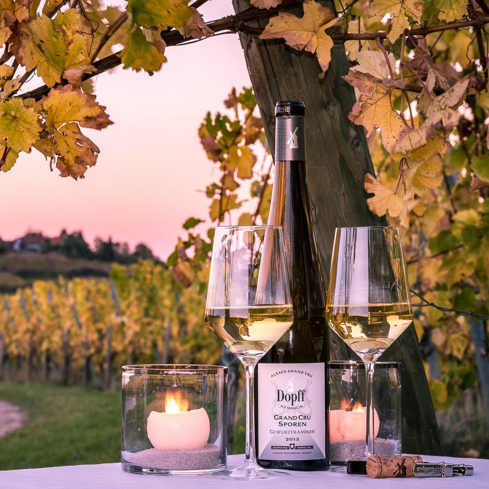 Le grand cru Sporen à Riquewihr, terroir célèbre pour ses grands vins de gewurztraminer.