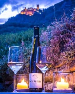 Découvrez la route du vin d'Alsace à partir de votre appartement de vacances à Riquewihr