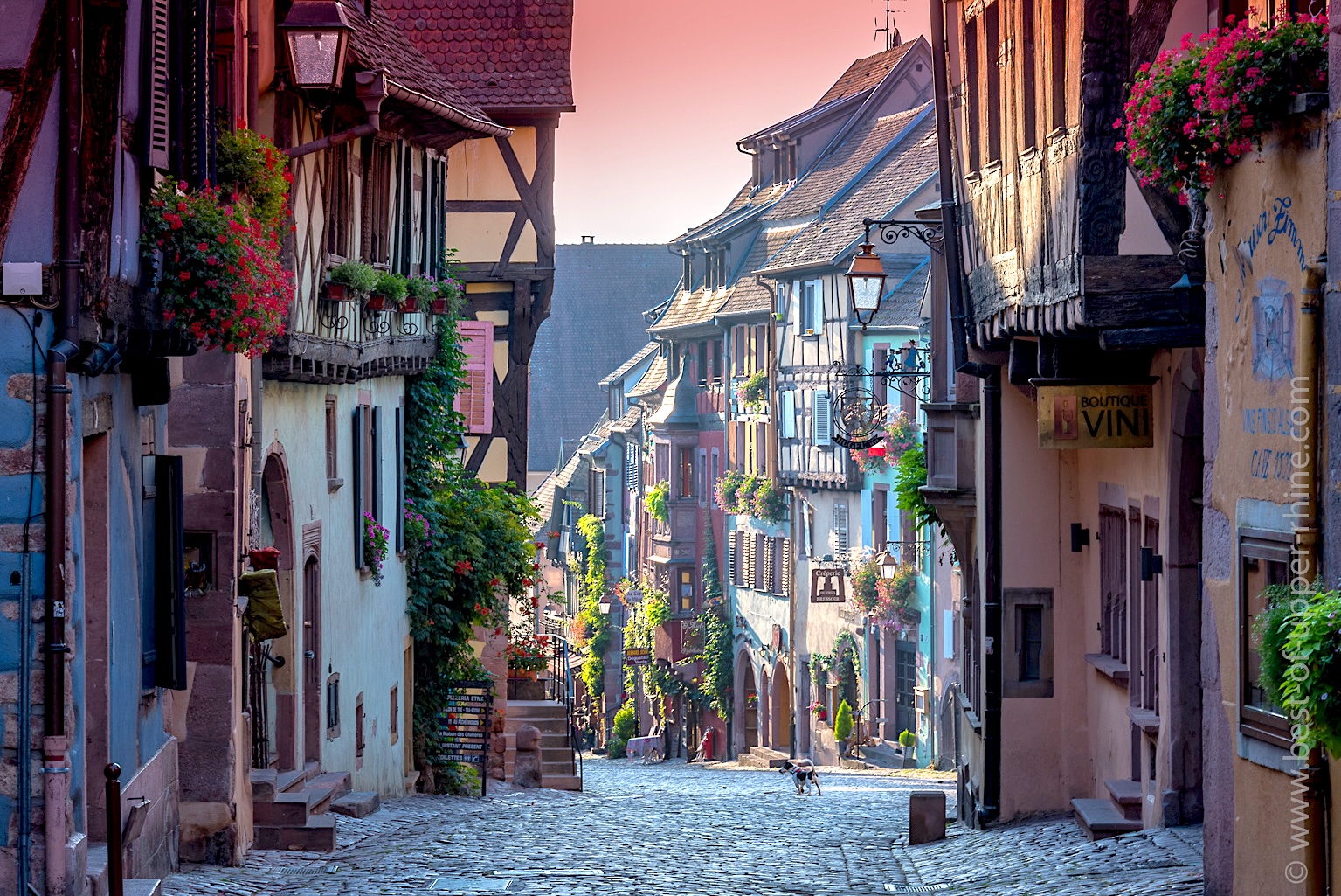 Rue principale de Riquewihr le matin