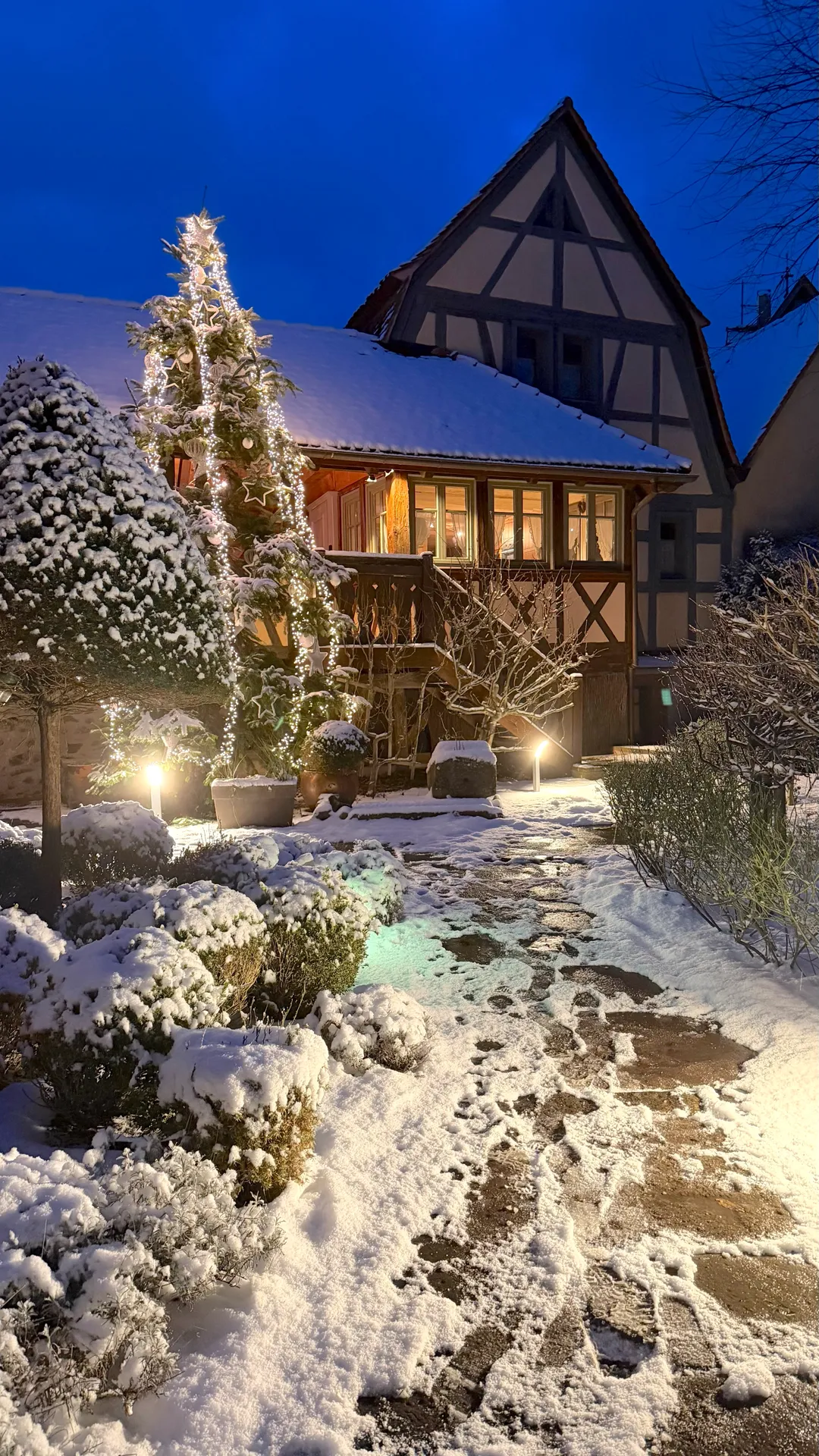 Illuminated entrance of our secret garden in Riquewihr during winter.